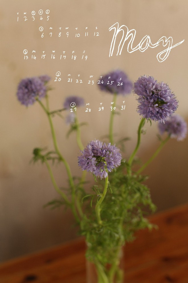 Miss Moss : 12 Flowers #flower #calendar #design #graphic