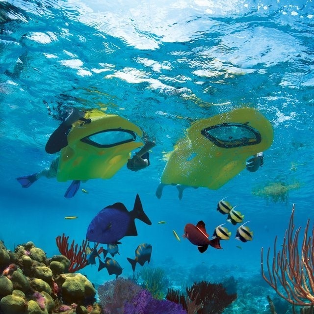 Snorkeling Kickboard #tech #flow #gadget #gift #ideas #cool