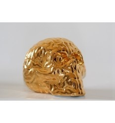 Skull Brain 'GOLD' by Emilio Garcia