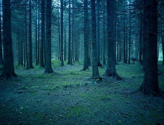 Photography by Nick Meek » Creative Photography Blog #inspiration #photography
