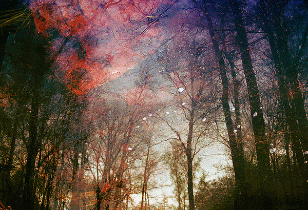 FIne Art Photography by Polina Washington #inspiration #photography #art #fine
