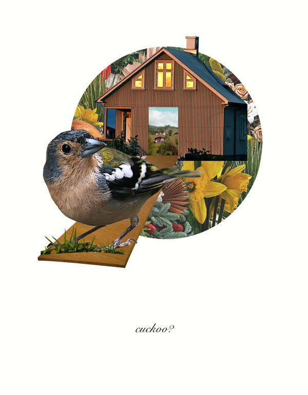 cuckoo #modern #surrealism #vintage #art #collage