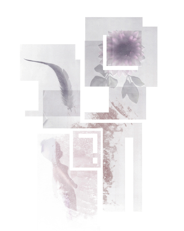 The Bloody Chamber #layers #shadows #cut #tracing #tales #fairy #adult #design #graphic #book #reveal #illustration #outs #artist #paper #secrets
