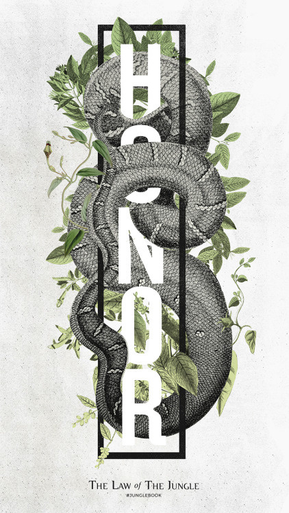 Another great poster for Jungle Book #poster #junglebook #illustration