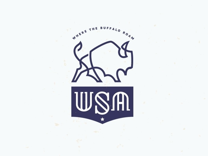 USA #mark #branding #brand #logo #buffalo