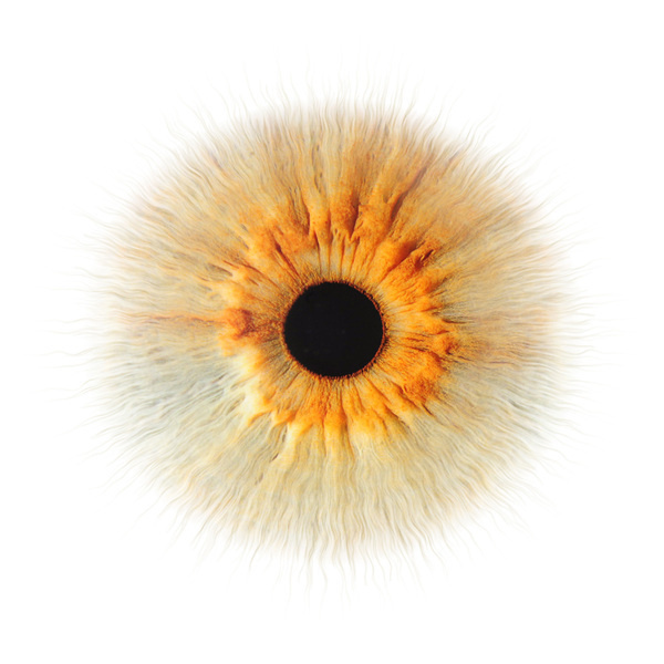 eyes that tell stories · singapore on Behance #eye #portrait