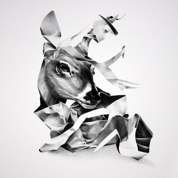 Christina Empedocles #deer #white #empedocles #black #illustration #crumpled #and #christina