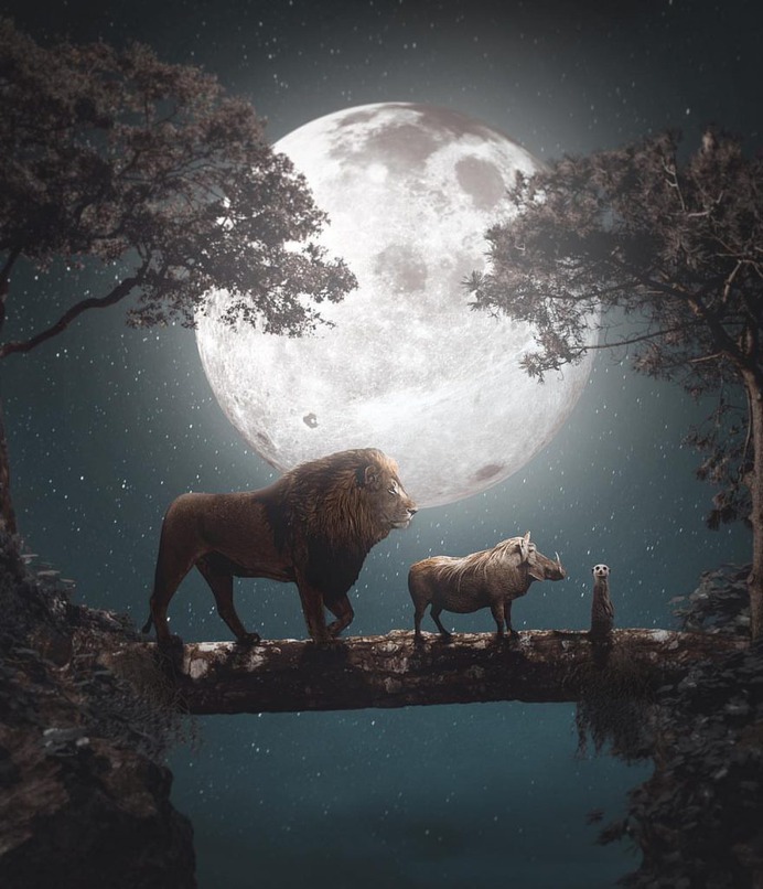 Dreamlike Photo Manipulations by Shaun Ryken