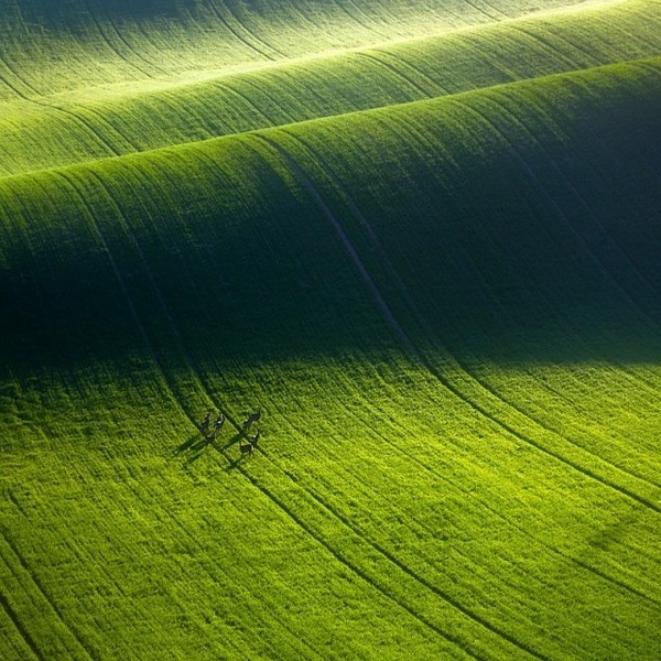 Boguslaw Strempel #inspiration #photography #landscape