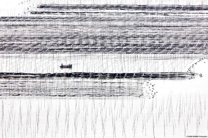 Unknown China: Coastal Geometries of Bamboo Worlds by Tugo Cheng