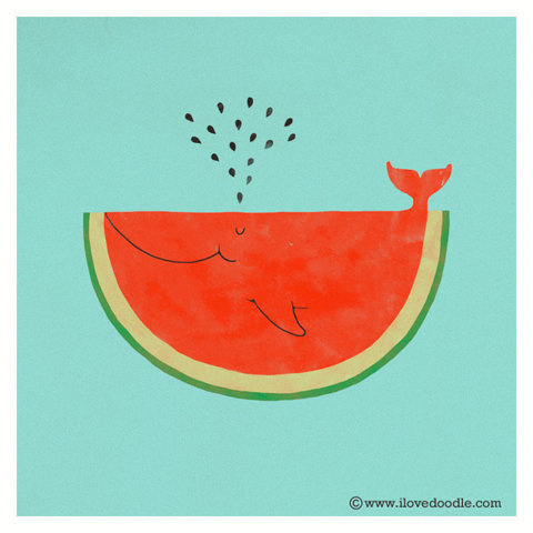 My cat can eat a whole watermelon | Flickr Photo Sharing! #whale #illustration #watermelon