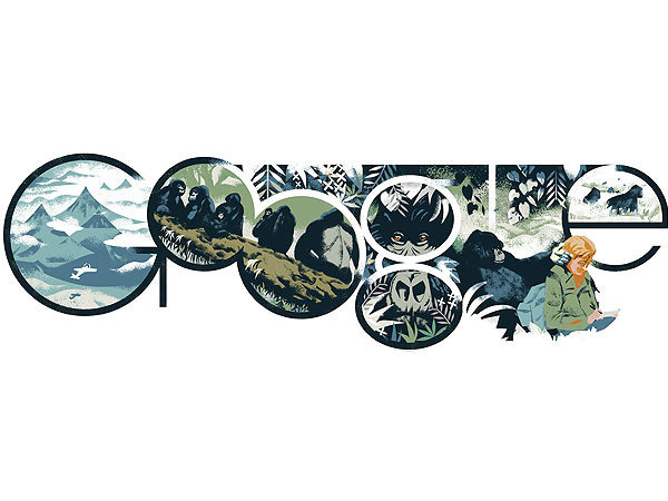Dian Fossey Google Doodle Explained by Illustrator Mike Dutton #google #doodle