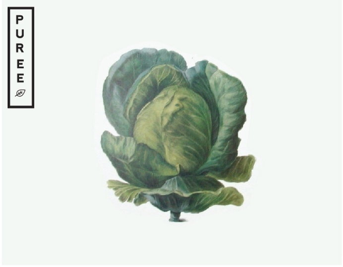 Puree branding & packaging by Studio Ahamed #old #look #illustration #vegetable #logo
