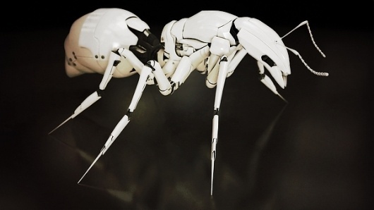 tumblr_lza8gmh7Pe1qhbvrbo1_1280.jpg 600×338 pixels #cyborg #insect #ant #robotic