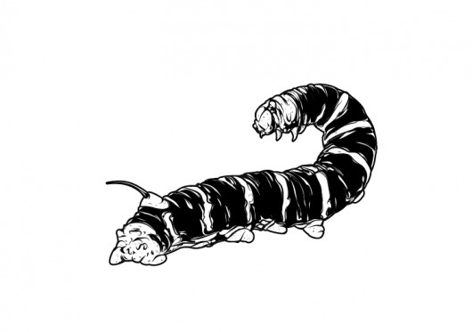 Marzini's Blog | vectorizando e afins #illustration