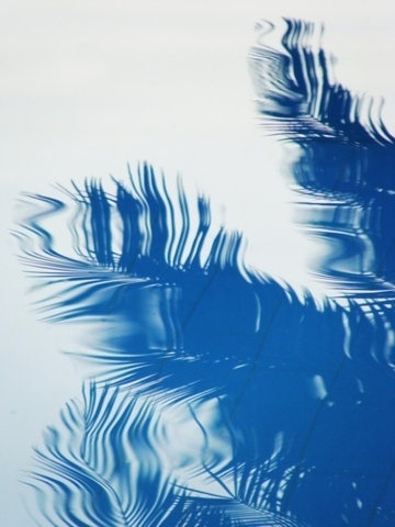 FFFFOUND! | Every reform movement has a lunatic fringe #photo #blue #pool