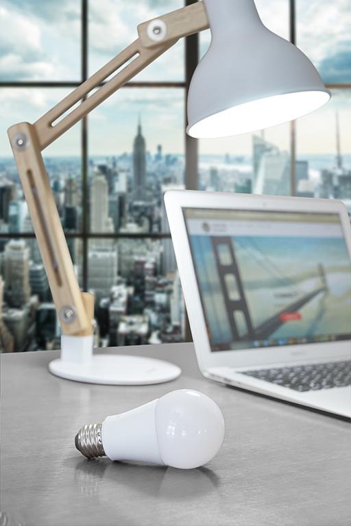 GOODDAY® | ENERGY-ENHANCING A19 LED BULB