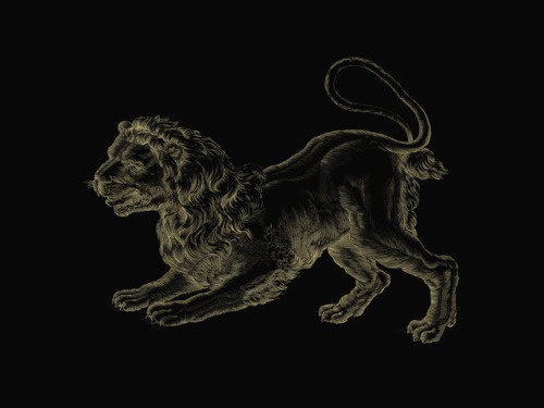 Constellation - Lion illustration
