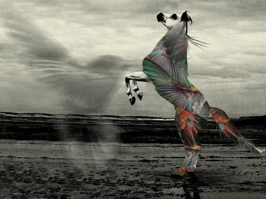 Lou Madhu #abstract #horse #humming #bird #stallion #lou #art #madhu #surreal #collage