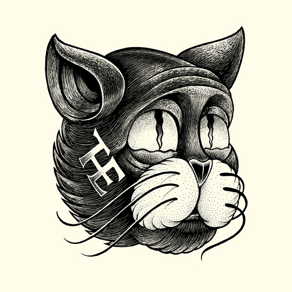 #illustration #cat