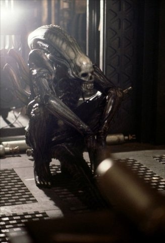 The Behind the Scenes Pic of the Day has a wonderful defense mechanism. You don't dare kill it! -- Ain't It Cool News: The best in movie, #alien