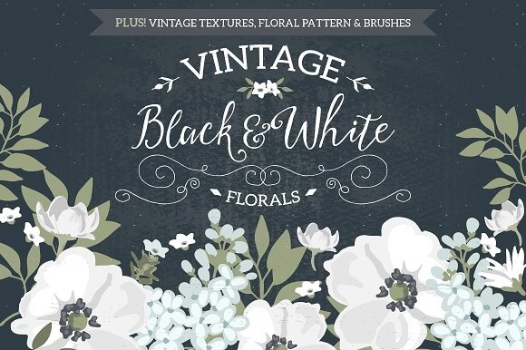 Vintage Black & White Florals - Illustrations