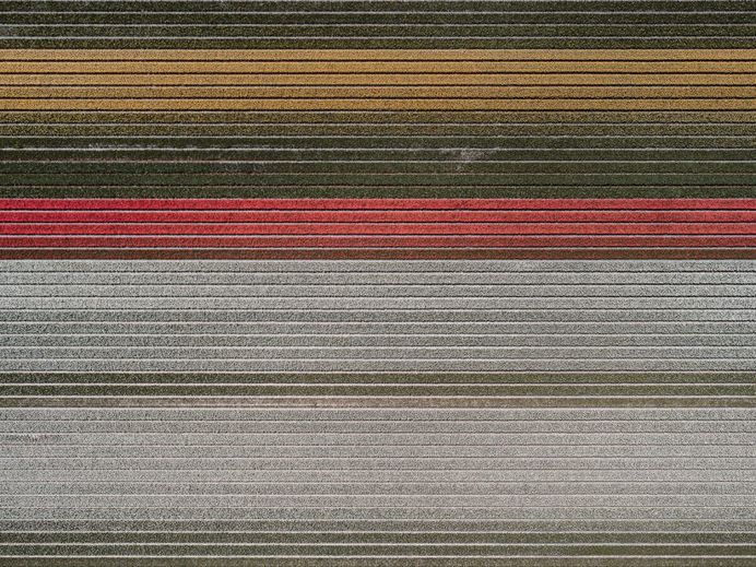 The Tulip Series: The Netherlands From Above by Tom Hegen