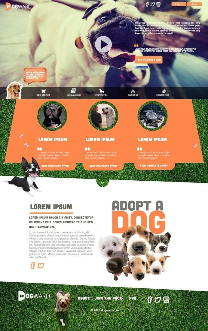 Layout Concept for Dogs Adoption Website. #design #dogs #orange #graphic #website #concept #layout