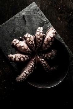 Grilled Octopus || Regan Baroni www.fallow.com.au