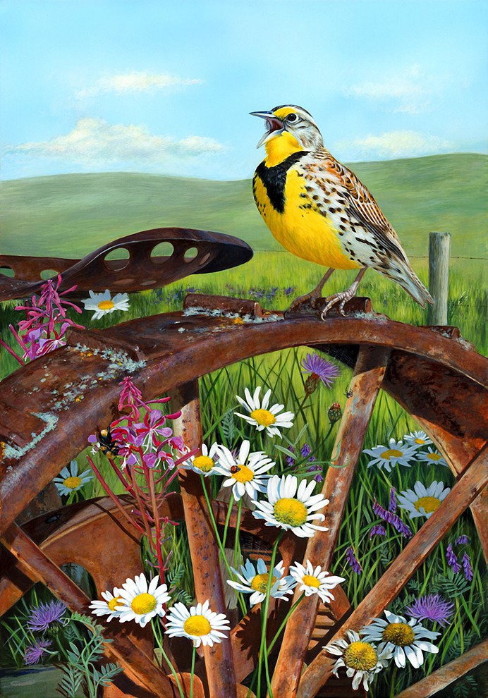 daisy painting & daisy paint by number #painting