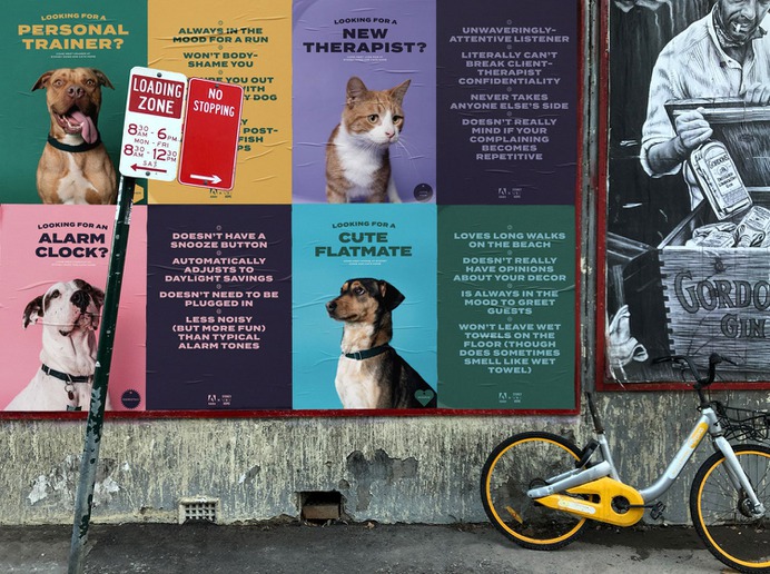 Adobe Pawtraits - Mindsparkle Mag For The People & ilana grace designed this beautiful project named Adobe Pawtraits. #logo #packaging #identity #branding #design #color #photography #graphic #design #gallery #blog #project #mindsparkle #mag #beautiful #portfolio #designer