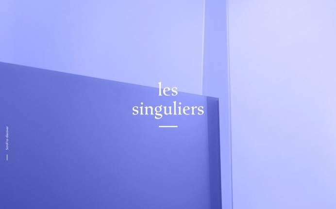 Les Singulairs Paris communication agency france webdesign inspiration best of award site of day mindsparkle mag