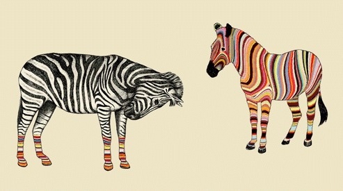 MUSSE Estampas #zebra #psycodelic