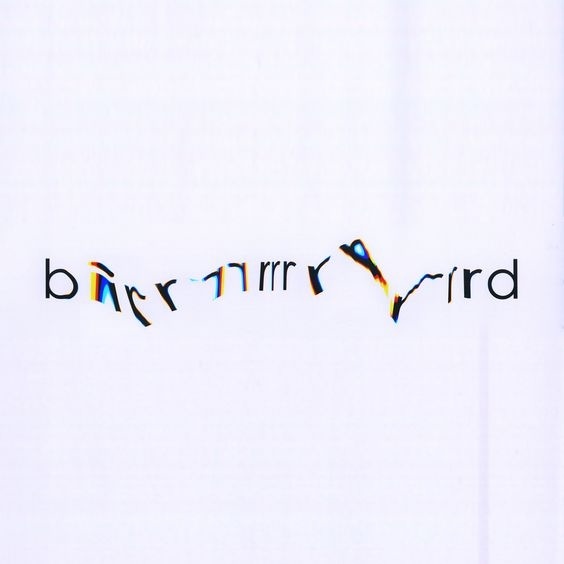 #glitch #birrrrrrrd #typography #leggo