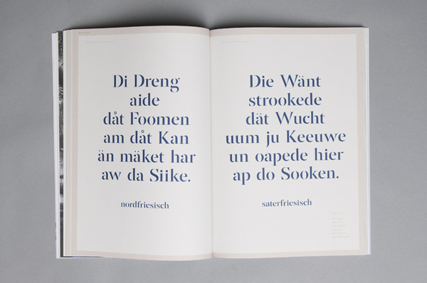 Sprachtod – Von schwindenden Sprachen und sterbenden Worten #book #typography