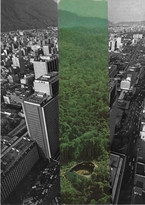 earthen-origins:nnThis is so much more than a collage. It is a physical representation of what our world looked like before it was touch #cut #line #white #design #black #advertising #artwork #strip #illustration #shape #nature #vintage #art #and #colour #collages #collage #paper #green