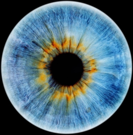 Portfolio | Special Projects « RANKIN #eyescapes #photography #rankin