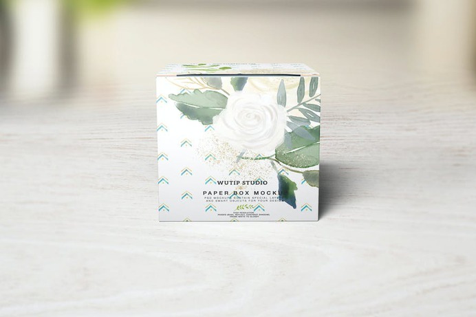 Minimal Square Box Mockup OSD