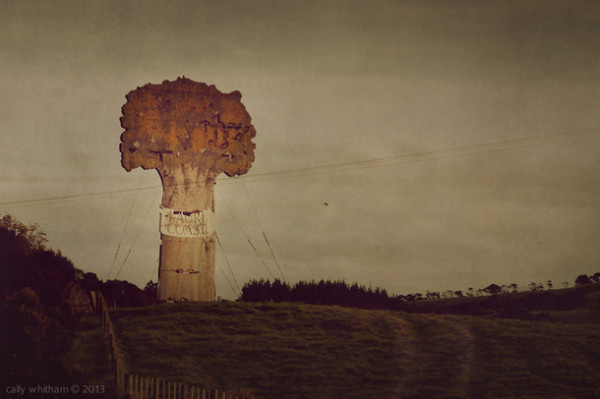 Cally Whitham #inspration #photography #art