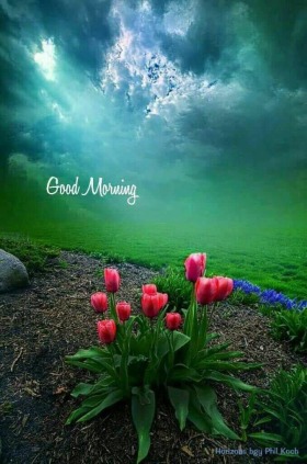 Good morning images - HappyShappy
