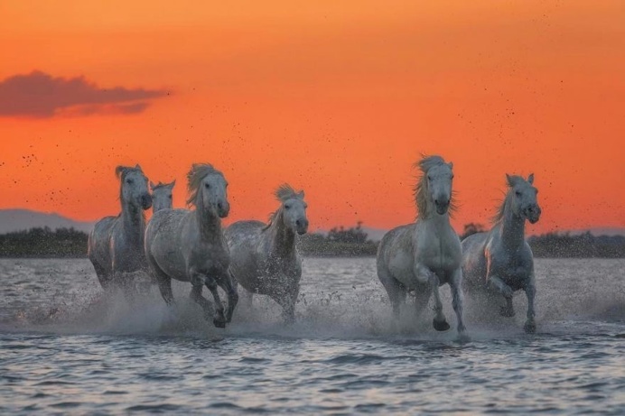 Incredible Travel Photography by Natalia Grebesheva
