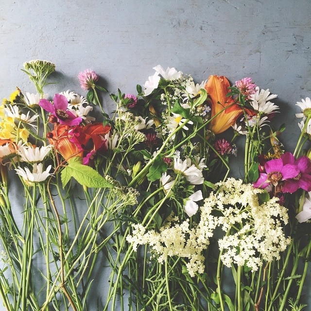 #flowers #Instagram