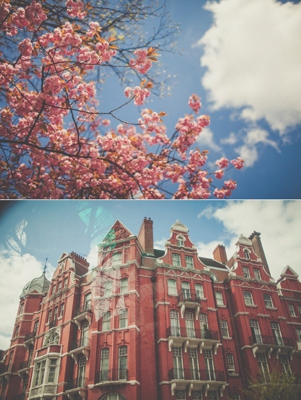 Julia Trotti #inspiration #photography
