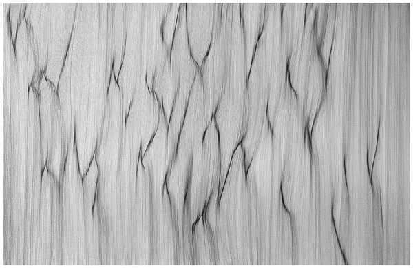 Each Line One Breath: Morphogenetic Freehand Drawings By John Franzen #line #geometry #white #lines #black #illustration #and #drawing