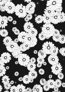Flowers. #blackandwhite #illustration #flowers #graphic #minimal #jameszanoni