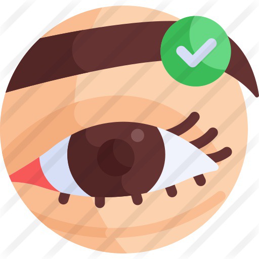 See more icon inspiration related to shapes and symbols, healthcare and medical, beauty salon, grooming, wellness, surgery, check mark, eyelid, beauty, done and eye on Flaticon.