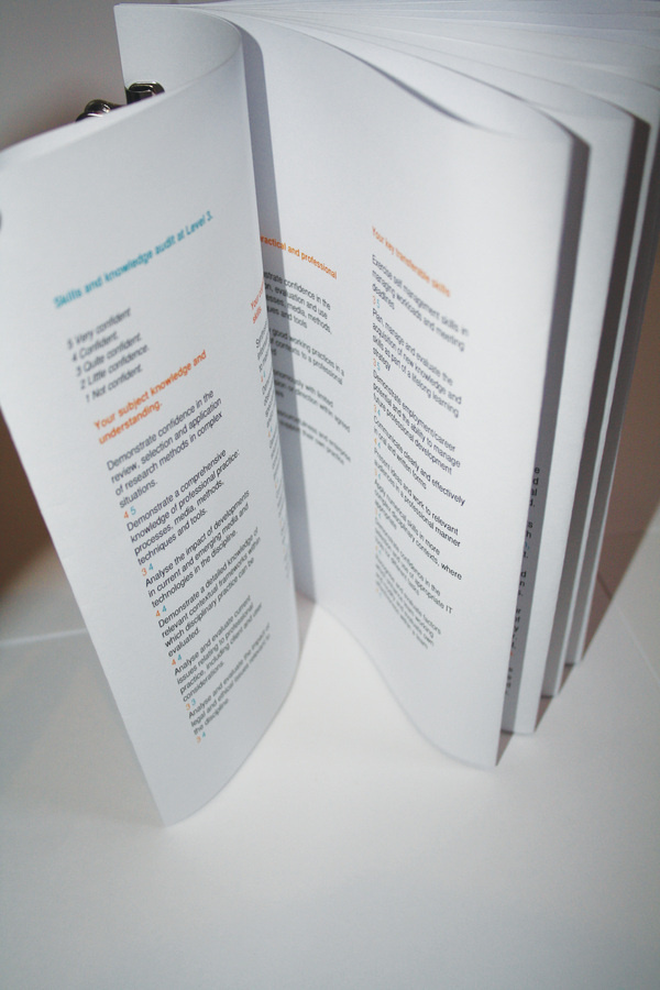 Self Promotion #clips #report #fan #booklet #leaflet #typography
