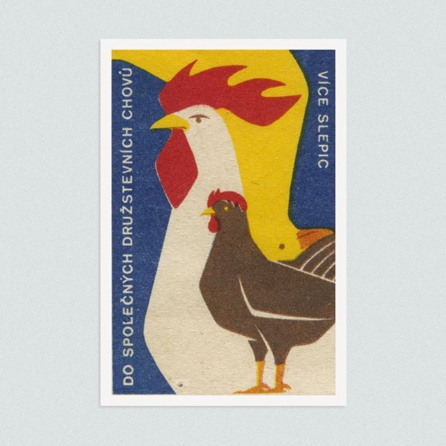 More hens in joint cooperative breeding. (Czechoslovakia)
