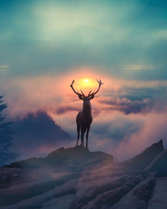 Dreamlike Photo Manipulations by Diego Hernandez