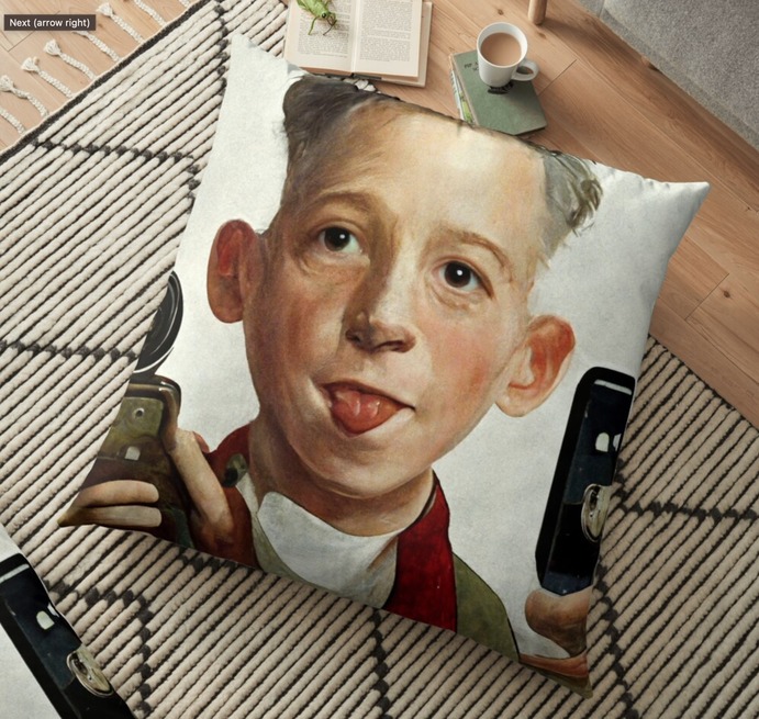 Norman's Selfie Floor Pillow